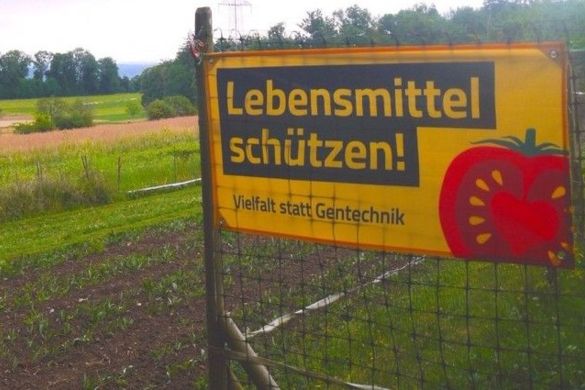 Gentechnik.jpg